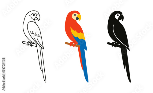 Colorful parrot evolution: outline, vibrant, and silhouette depictions on a branch