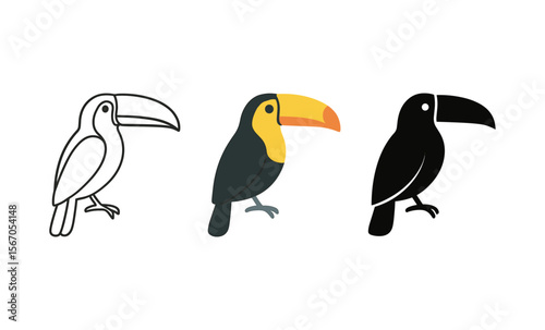 Three toucan illustrations: outline, colorful, and silhouette variations on white background