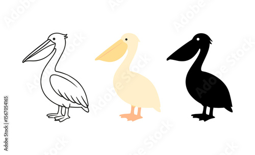 Pelican trio: outline, colorful, and silhouette for design inspiration