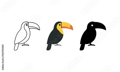 Evolution of toucan illustrations: outline, colorful, silhouette