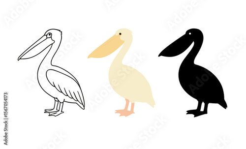 Pelican evolution: outlines, pastel tones, silhouette progression