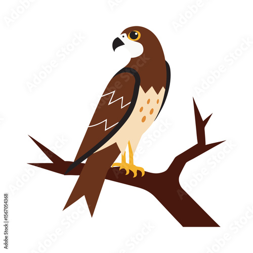Falcon Perched On Broken Tree Branch