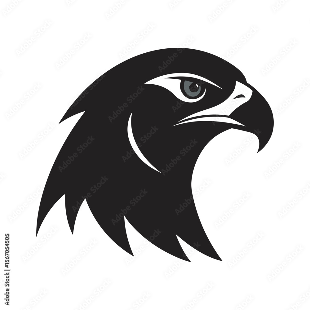 Obraz premium Falcon Head Profile With Sharp Beak