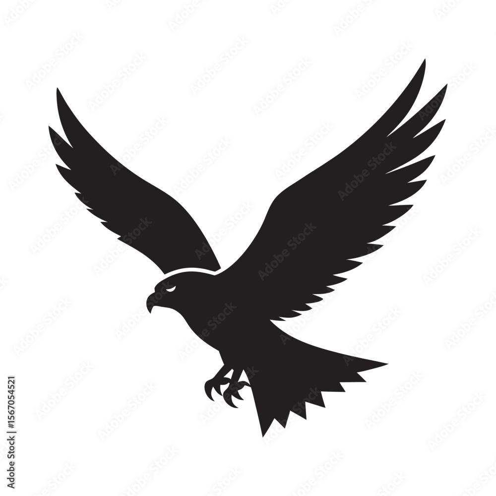 Fototapeta premium Falcon Flying With Wings Spread