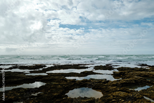 barrosa 4