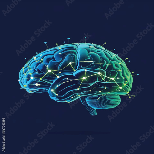 Human brain