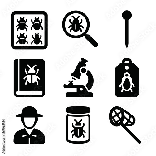 Beetle Collection Set. Solid, filled icon set of beetle collection and study: specimen box, magnifying glass, insect pin, field