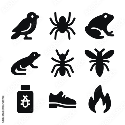 Beetle Threat Icons. Solid, filled icon set of beetle predators and threats: bird, spider, frog, lizard, ant, parasitic wasp,