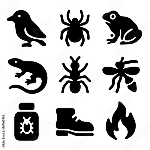 Beetle Threat Icons. Solid, filled icon set of beetle predators and threats: bird, spider, frog, lizard, ant, parasitic wasp,