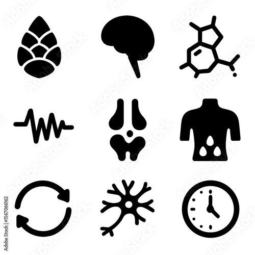 Body Clock Icon Set. Solid, filled icon set of body clock regulation: pineal gland, hypothalamus, melatonin molecule, brain waves,