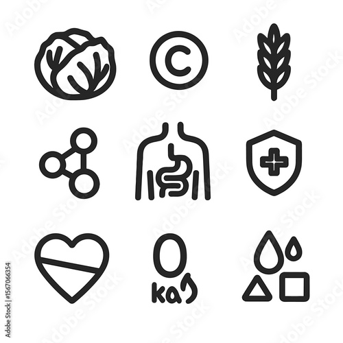 Cabbage Health Icons. Solid, filled icon set of cabbage nutrition and health: vitamin C, fiber, antioxidants, digestion, immune