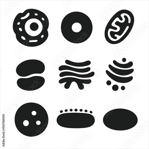 Cell Biology Icons. Solid, filled icon set of cellular biology: cell, nucleus, mitochondrion, ribosome, endoplasmic reticulum,