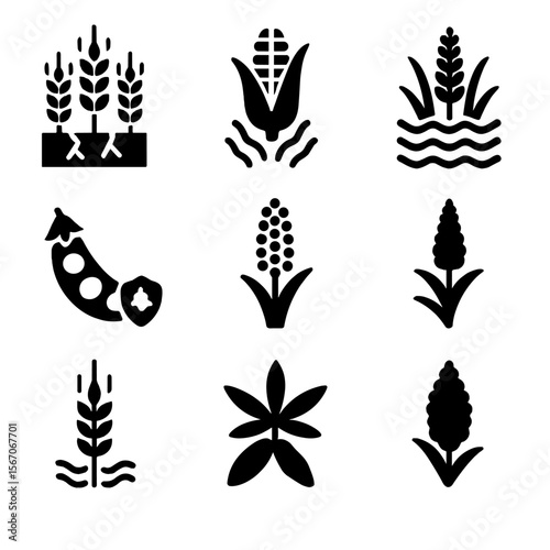 Climate Resilient Crops Icons. Solid, filled icon set of climate resilient crops: drought-resistant wheat, heat-tolerant maize,