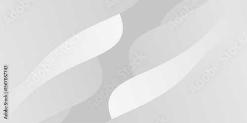 Abstract white and gray color background. Graphic design banner pattern background template with dynamic wave shapes.