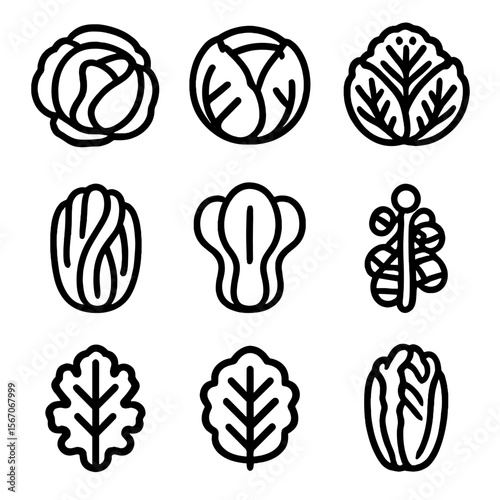 Cabbage Icon Set. Solid, filled icon set of cabbage varieties: green cabbage, red cabbage, savoy cabbage, napa cabbage, bok choy,
