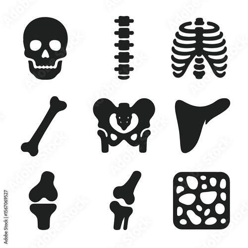 Bone Structure Icons. Solid, filled icons set of the role of bones in the body: skull, spine, ribcage, femur,