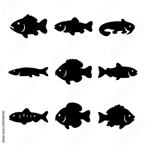 Catch Fish Icons. Solid, filled icon set of common catch fish: bass, trout, catfish, pike, perch, salmon, mackerel, bluegill,