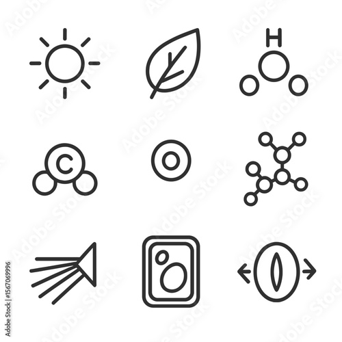 Photosynthesis Icons Grid. Outline icon set of seed germination process: seed, sprout, cotyledon leaf, moisture droplet, soil
