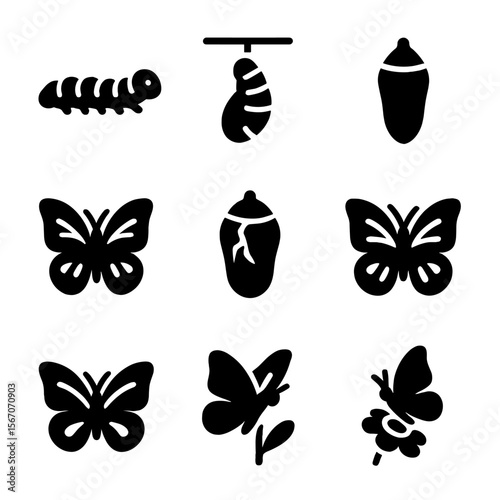 Butterfly Life Cycle Icons. Solid, filled icons set of caterpillar to butterfly transformation: caterpillar