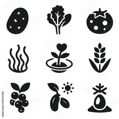 Orbital Crop Icons. Solid, filled icons set of orbital crop species: Martian potato, lunar kale, asteroid