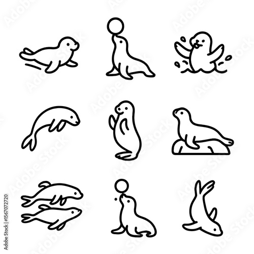 Seal and Sea Lion Icons. Outline icon set of seal and sea lion playful poses: seal pup sliding, sea lion balancing ball, seal