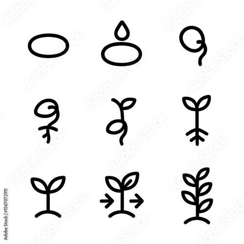 Plant Growth Stages. Solid, filled icon set of Germination stages: dormant seed, water absorption, seed coat breaking, root