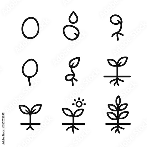 Plant Growth Stages. Solid, filled icon set of Germination stages: dormant seed, water absorption, seed coat breaking, root