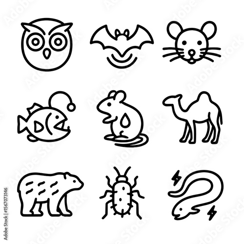 Sensory & Behavioral Icons. Outline icon set of sensory and behavioral adaptations: owl large eyes, bat echolocation waves,