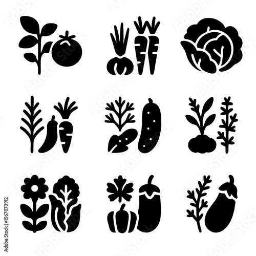 Companion Planting Icons. Solid, filled icon set of companion planting with herbs: basil and tomato, chives and carrots, mint and