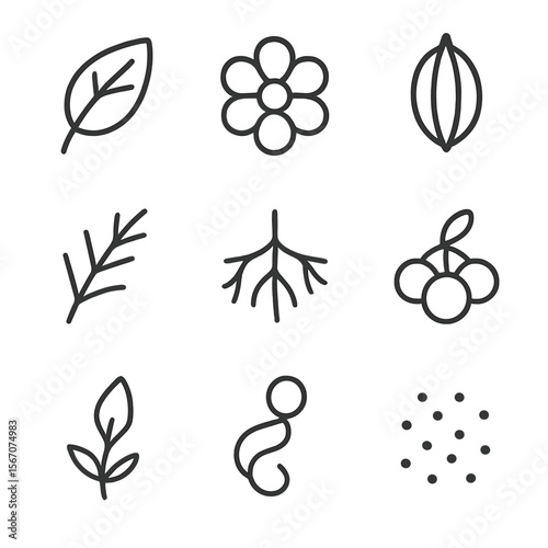 Botanical Icon Set. Flat icon set of botanical illustration subjects: leaf outline, flower bloom, seed pod, branch, root system,