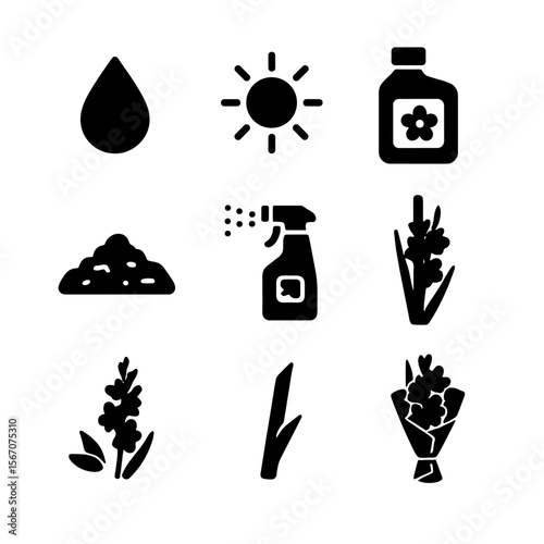 Gladiolus Care Icons. Solid, filled icon set of gladiolus floral care: water drop, sunlight icon, fertilizer bottle, mulch layer,