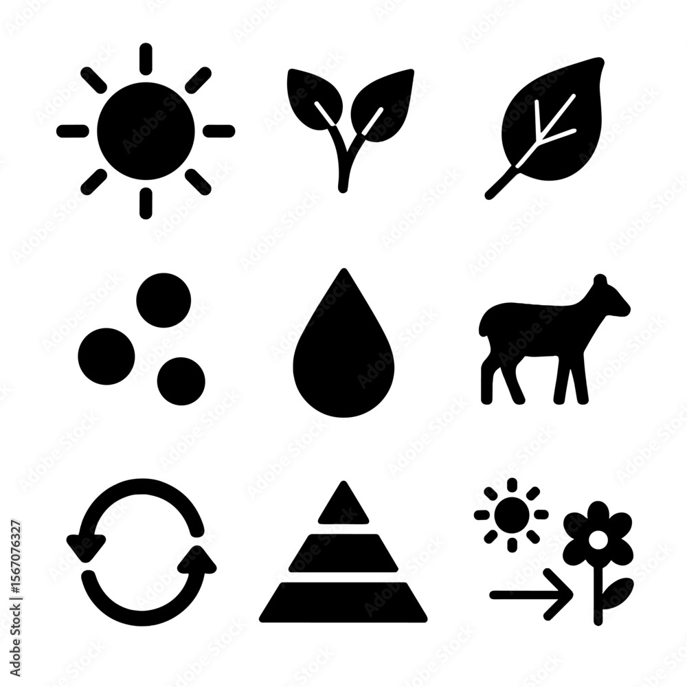 Fototapeta premium Energy Source Icons. Solid, filled icon set of energy sources and sinks: sun, organic matter, dead leaf, soil nutrients, water,