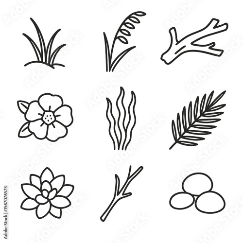 Coastal Vegetation Icons. Outline icon set of coastal vegetation: dune grass, sea oat, driftwood, beach rose, seaweed strand, palm