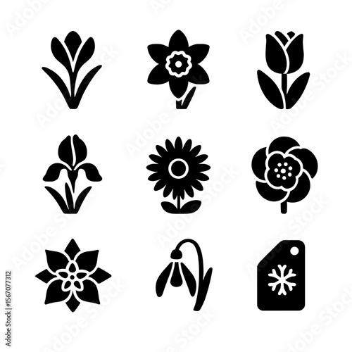 Seasonal Bloom Icons. Solid, filled icons set of seasonal blooms: crocus, daffodil, tulip, iris, aster,