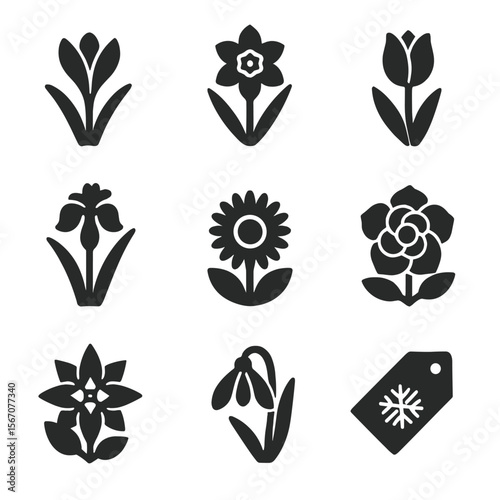 Seasonal Bloom Icons. Solid, filled icons set of seasonal blooms: crocus, daffodil, tulip, iris, aster,