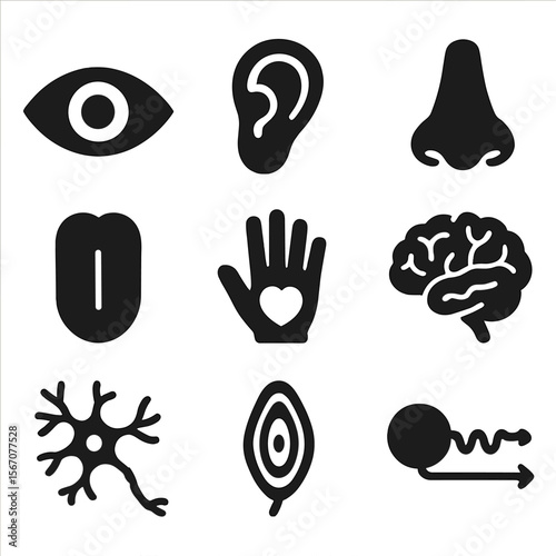 Senses Icon Grid. Solid, filled icons set of how our senses work: eye icon, ear, nose, tongue, hand, brain,