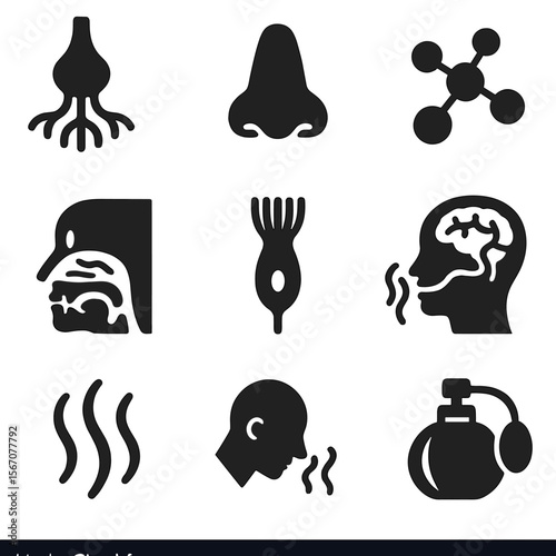 Smell Sense Icons. Solid, filled icons set of smell sense: olfactory bulb, nose nostrils, scent molecule,