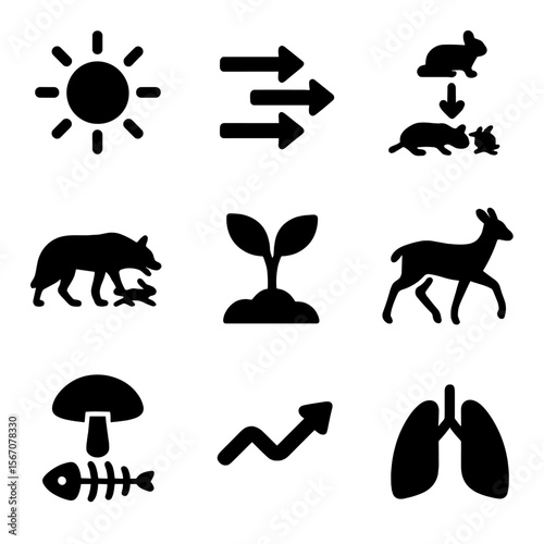 Ecosystem Energy Icon Set. Solid, filled icon set of ecosystem energy dynamics: sunlight, energy flow arrows, food web,