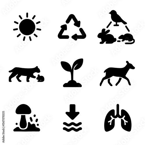 Ecosystem Energy Icon Set. Solid, filled icon set of ecosystem energy dynamics: sunlight, energy flow arrows, food web,