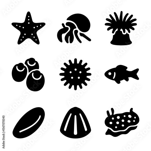 Tidal Pool Icon Set. Solid, filled icon set of tidal pool marine life: sea star, hermit crab, sea anemone, barnacle, sea urchin,