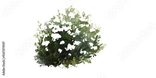 Ornamental grasses collection.  plume-like flowers on an isolated transparent background