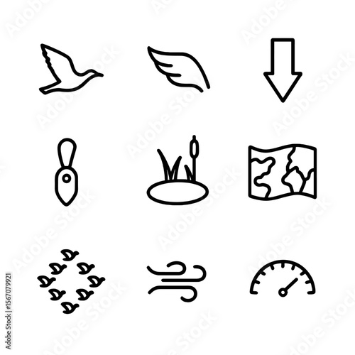 Bird Migration Icons. Outline icon set of bird migration patterns: migrating bird silhouette, wing flapping icon, compass arrow