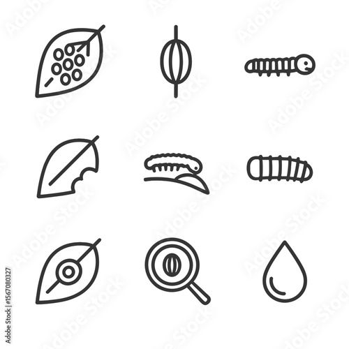 Butterfly Life Icons. Outline icon set of butterfly egg and early larva stage: leaf with eggs cluster, single egg on stem, newly