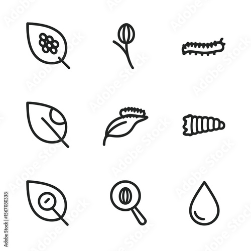 Butterfly Life Icons. Outline icon set of butterfly egg and early larva stage: leaf with eggs cluster, single egg on stem, newly