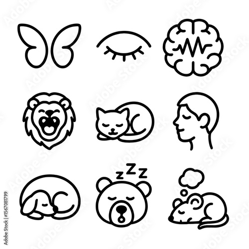 Sleep Cycle Icons. Outline icon set of sleep cycle behaviors: REM flutter wing, closed eye silhouette, brain wave line, yawning