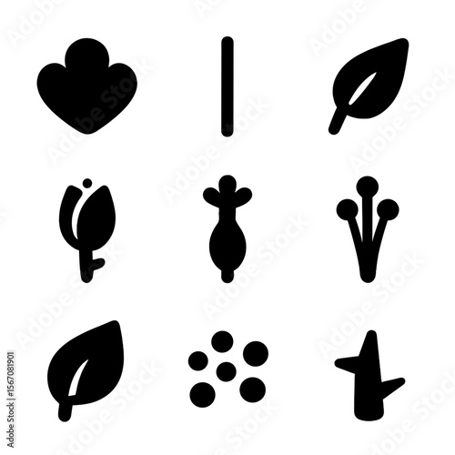 Flower Parts Icons. Solid, filled icon set of flower parts: petal, stem, leaf, bud, pistil, stamen, sepal, pollen, thorn. Solid,