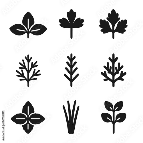 Herbs Icon Grid. Solid, filled icon set of herbs and spices: basil, parsley, cilantro, dill, rosemary, thyme, mint, chives,