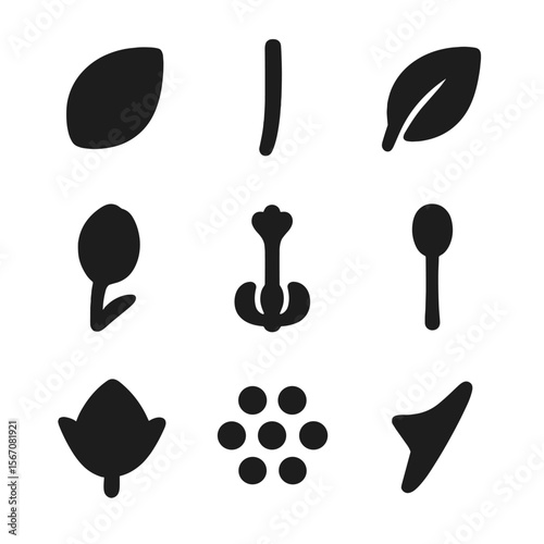 Flower Parts Icons. Solid, filled icon set of flower parts: petal, stem, leaf, bud, pistil, stamen, sepal, pollen, thorn. Solid,