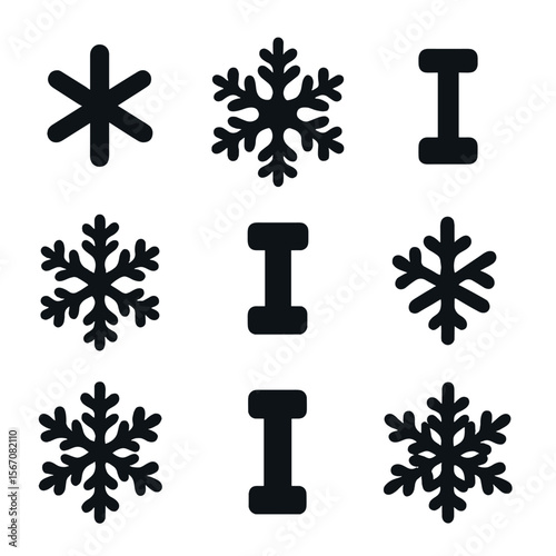 Snowflake Icon Grid. Solid, Filled icon set of snowflake shapes: simple flake, stellar dendrite, sectored plate, fernlike crystal,