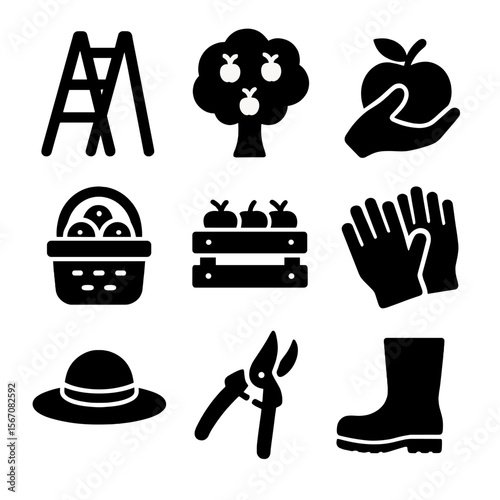 Fruit Picking Icons. Solid, filled icon set of fruit picking activities: ladder, orchard tree, hand picking apple, basket of